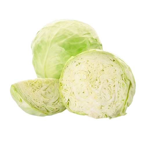 Varză